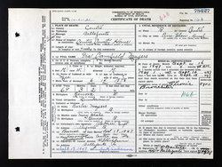 Ira Canfield 'Harry' Mayers death certificate