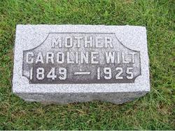 Caroline Buchanan Wilt 1849-1925
