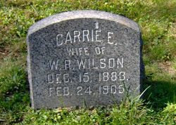 Carrie Ethel Johnson Wilson 1883-1905