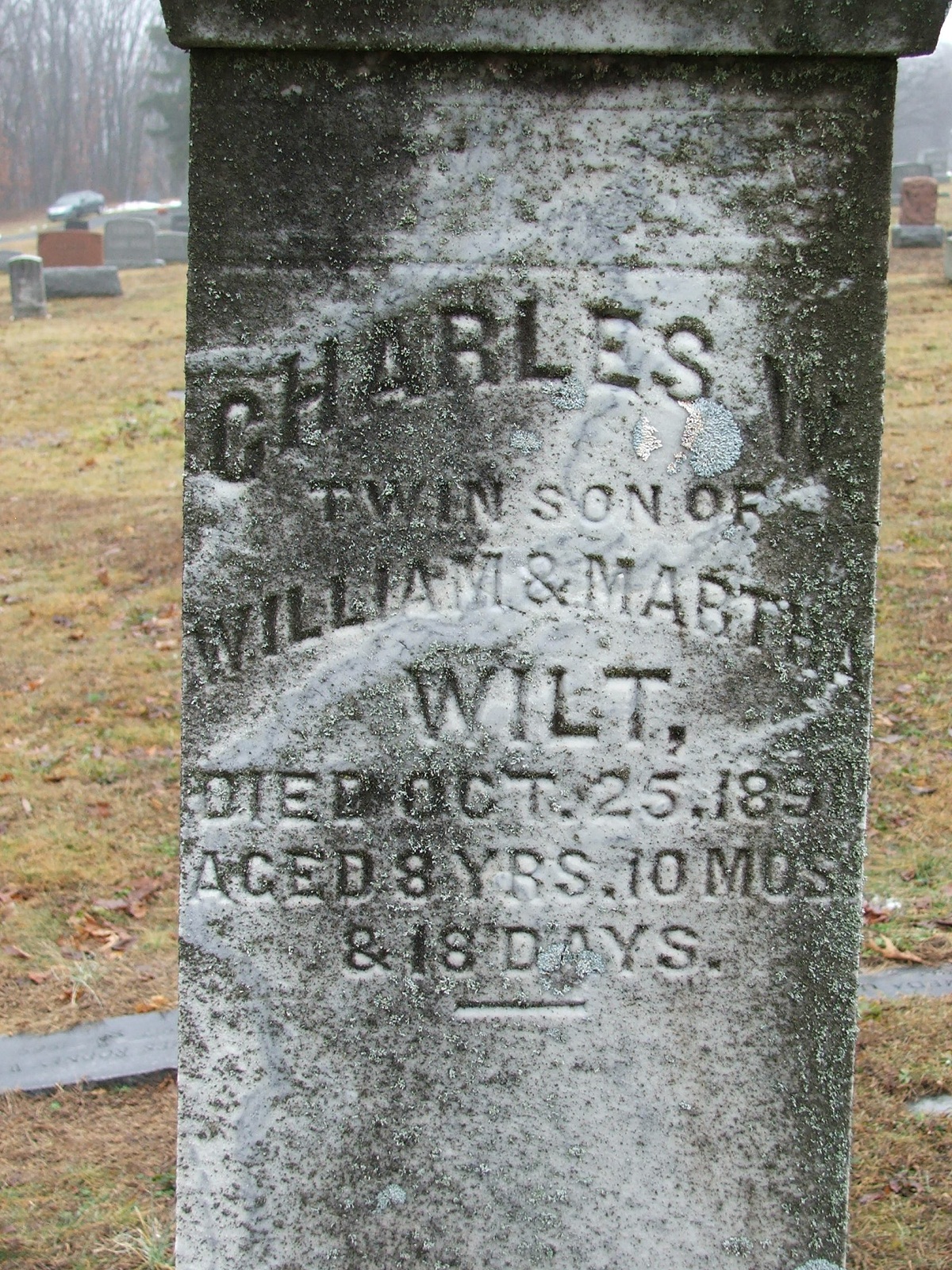 Charles W. Wilt 1882-1891

