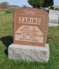 Joel Albert ZARING