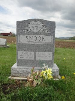 Lewis D. Snook 1941-2011