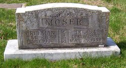 Louisa Barner Moser 1857-1930