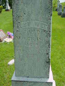 Lucy Cupp Wilt 1812-1894