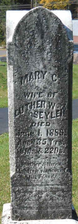 Mary Catherine Barner Seyler 1853-1889