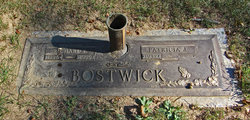 Richard Eugene Bostwick 1826-1999